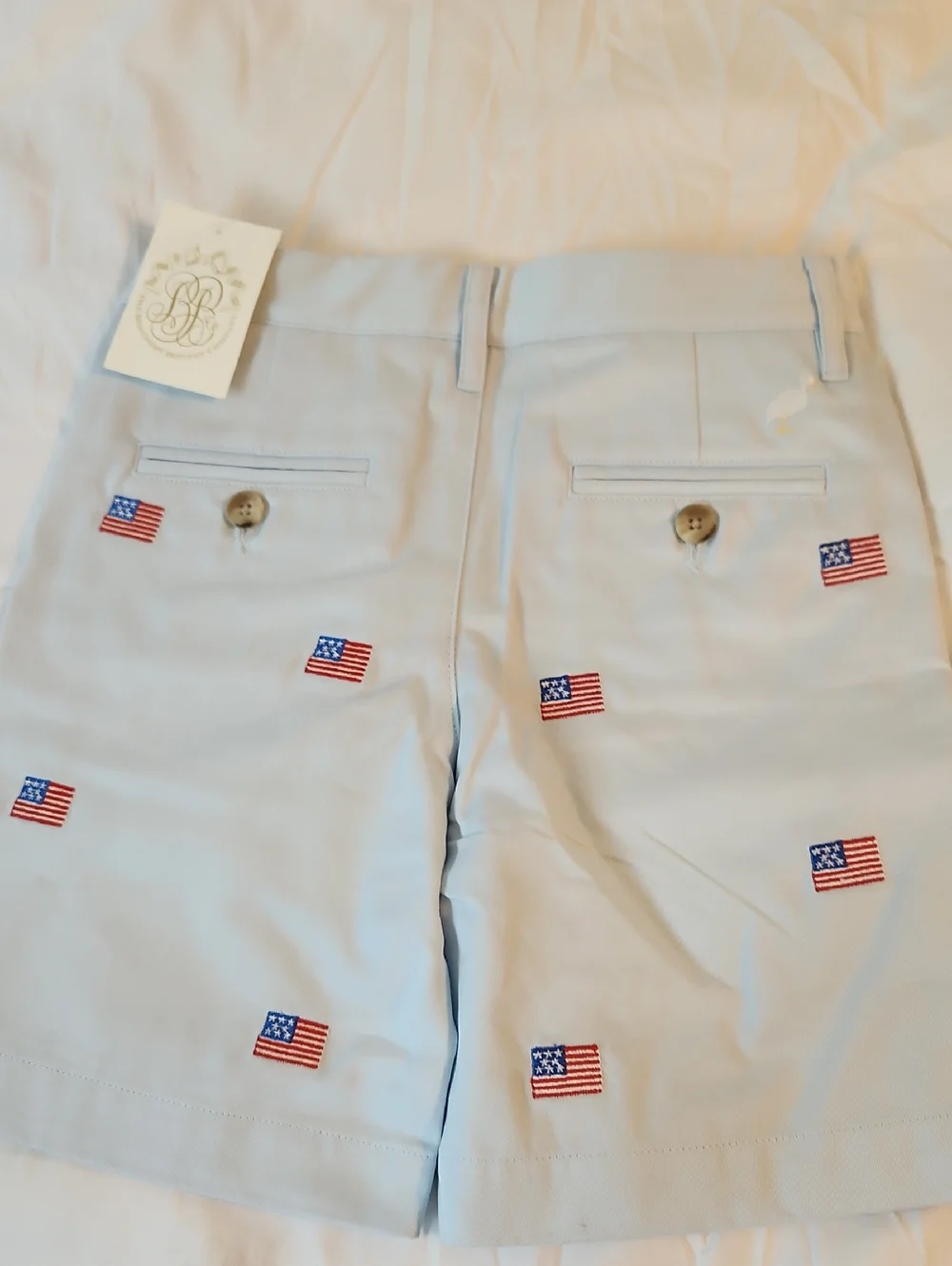 Tbbc Light Blue Embroidered American Flag Boys Shorts